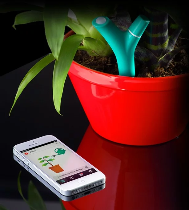 Flower Power specifically keeps track of sunlight, soil moisture, ambient temperature and fertilizer levels