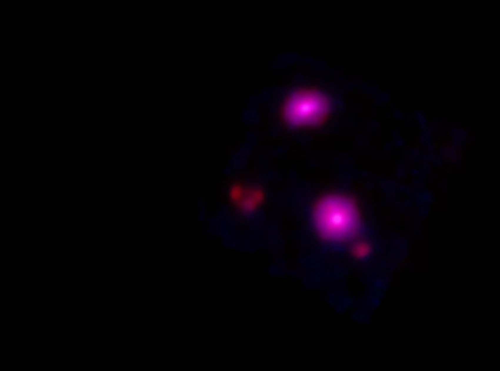 The NuSTAR high-energy x-ray image of IC342 (Photo: NASA)