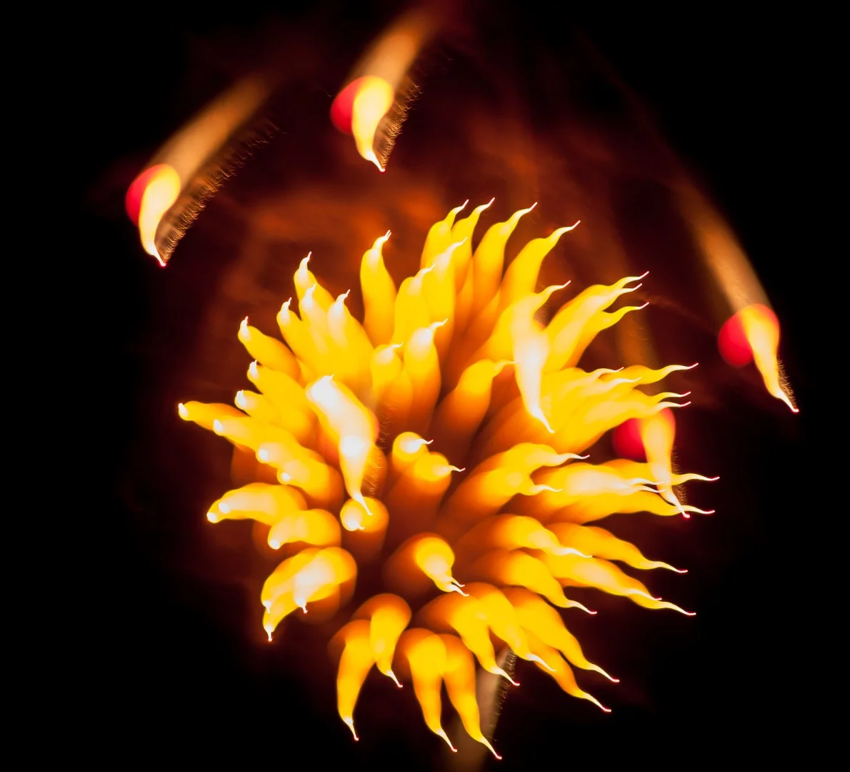 Manually focusing in on the fireworks through the duration of the exposure gives you thick bokeh tails leading to fine sharp points as in this "fire flower."Canon EOS 5D MkII, f/2.0, 50mm, 0.4 seconds, ISO 250
