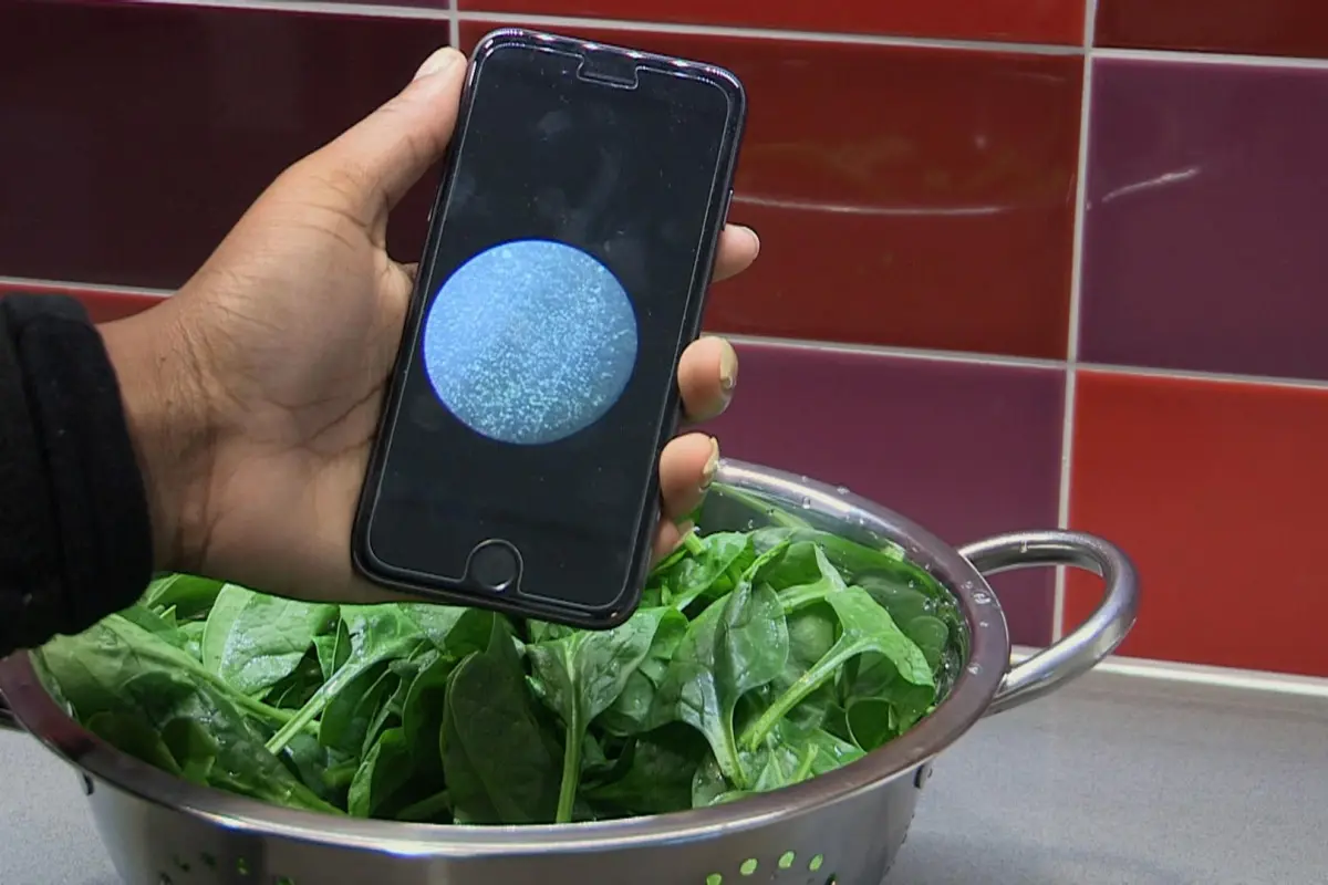 The system incorporates a bacteria-binding chip, a simple microscope and a smartphone app
