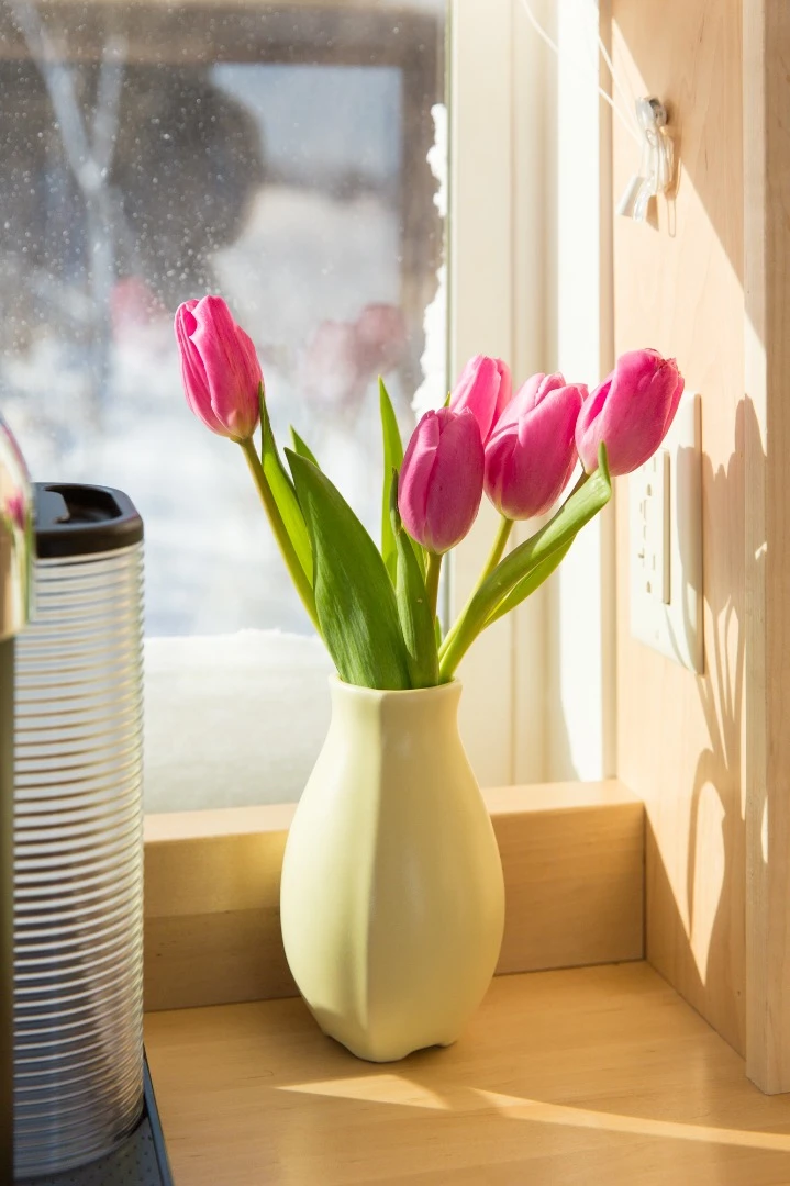 The windows are energy-efficient Low-E windows, most of which are operable