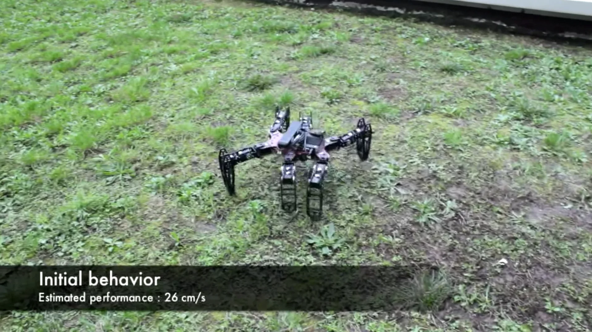 With six legs, the hexapod gets along just fine