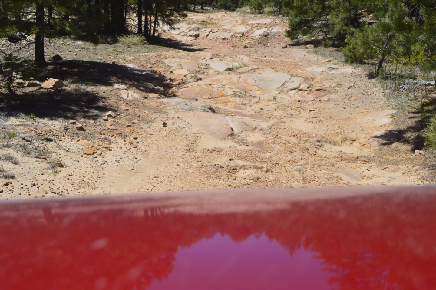 This stretch was where we put the skid plates to work