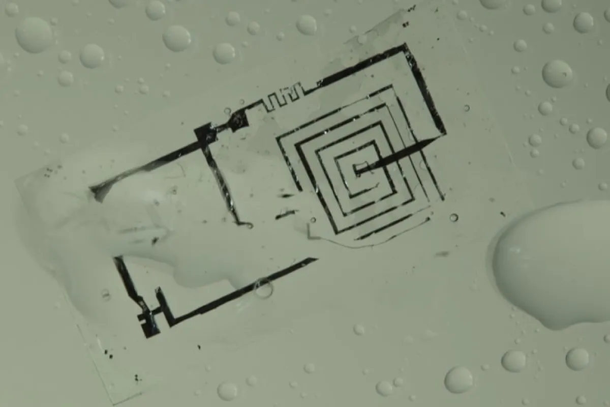 A biodegradable integrated circuit during dissolution in water (Photo: Beckman Institute, University of Illinois and Tufts University)