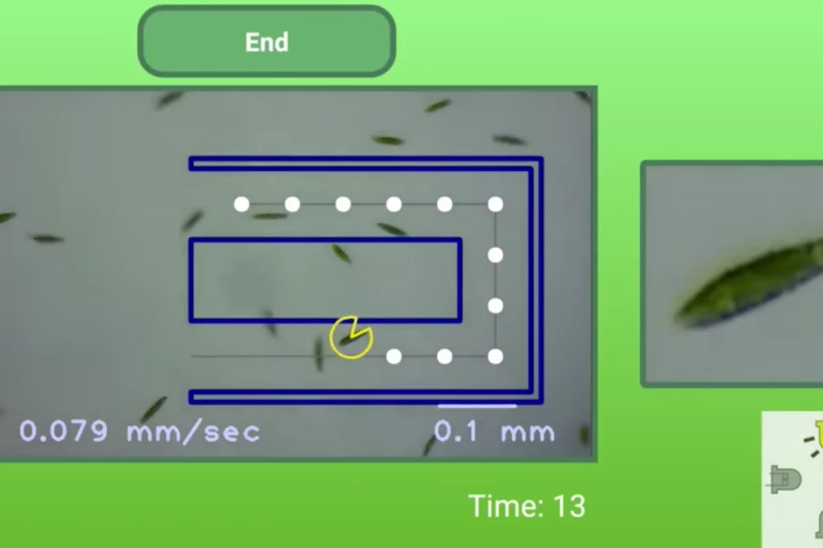 Researchers at Stanford University have created the LudusScope, which allows users to control microscopic organisms to play games like soccer and Pac-Man