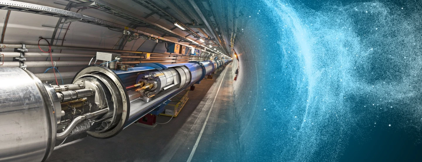 A weasel has short circuited the LHC's electrical power system
