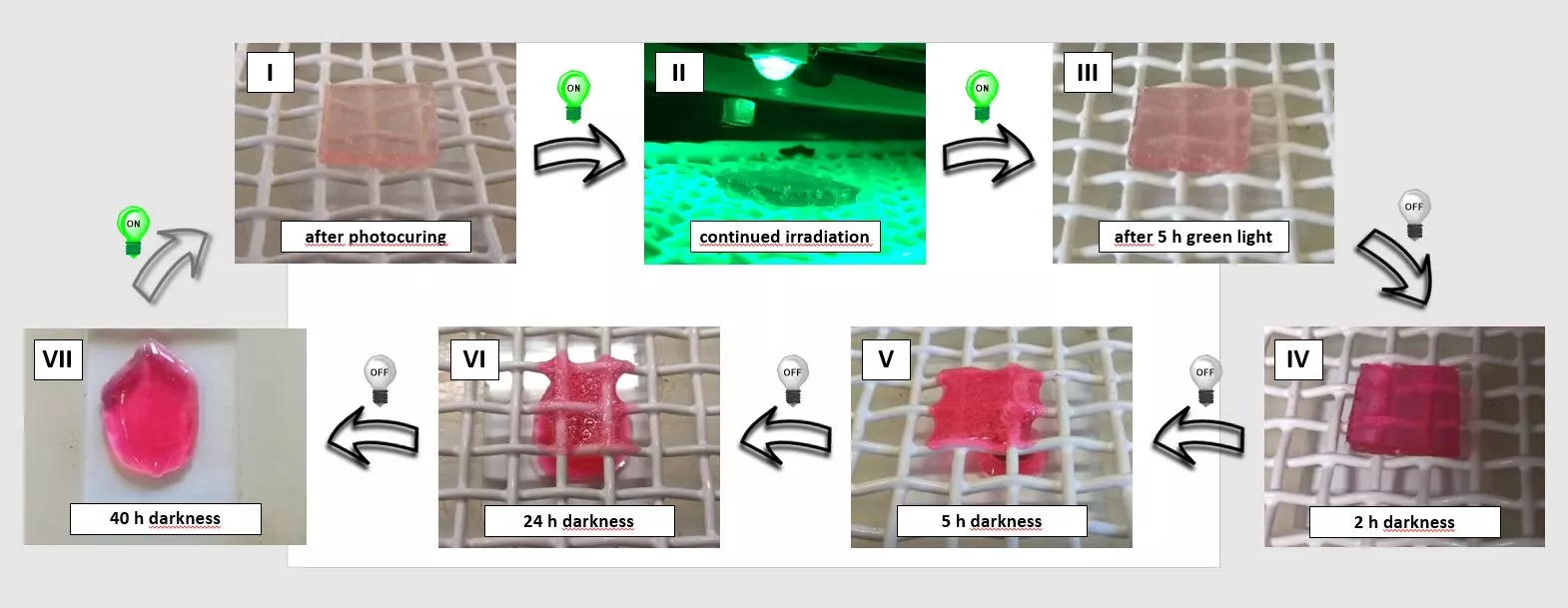 The team calls its new structure light-stabilized dynamic material, and hopes that it can give rise to a new class of materials that respond to light in novel and useful ways