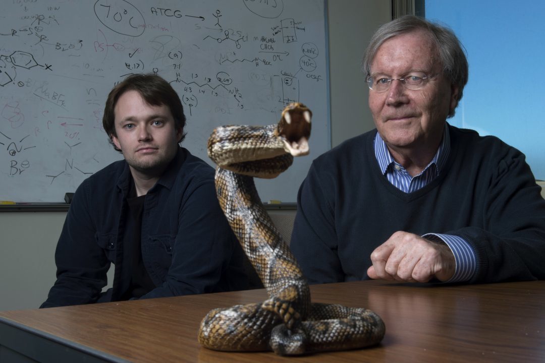 New Nanogel Neutralizes Deadly Snake Venom