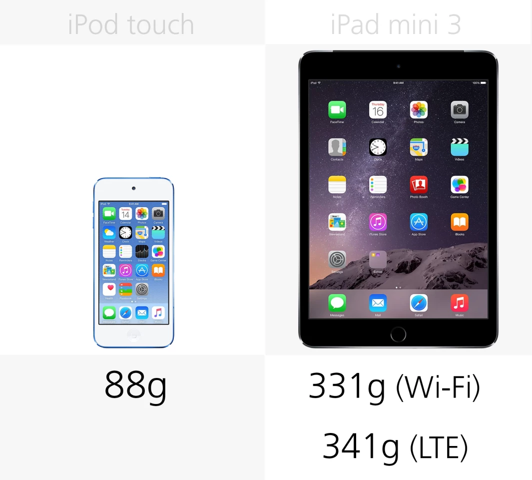 Weight