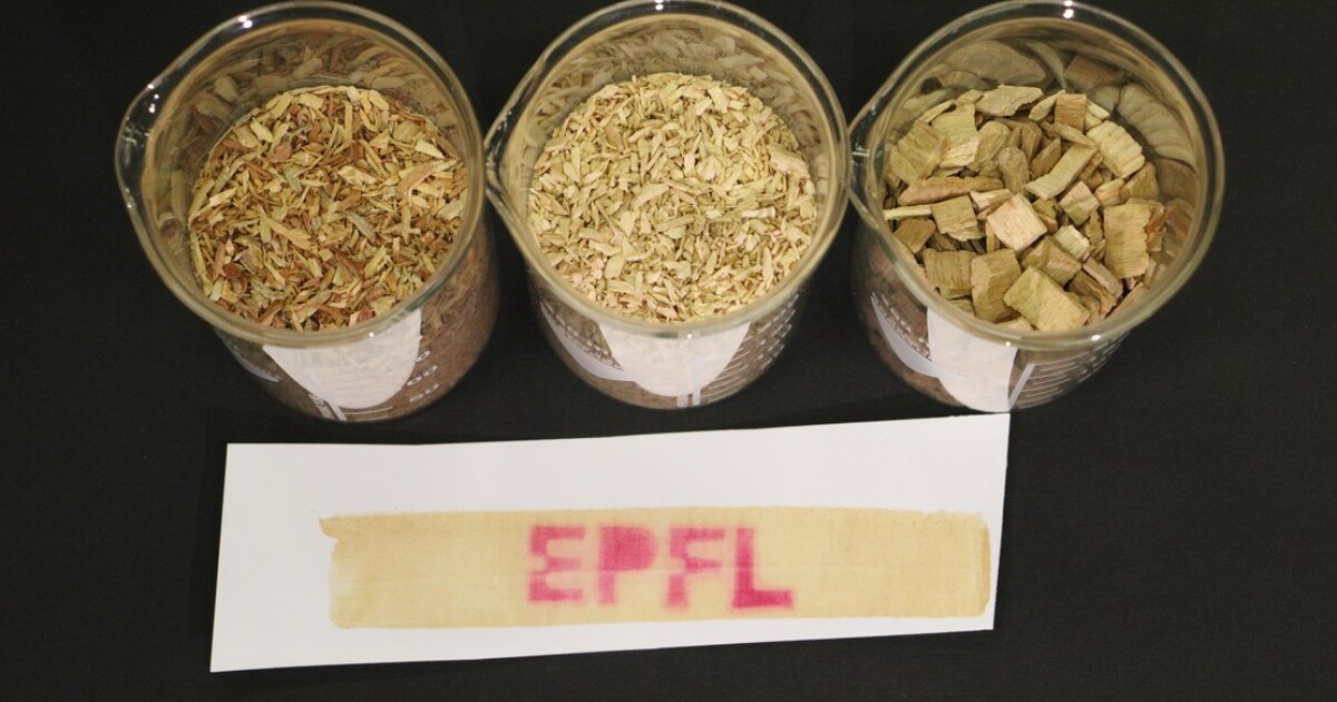 Wood polymer gives thermal paper an eco-friendly makeover