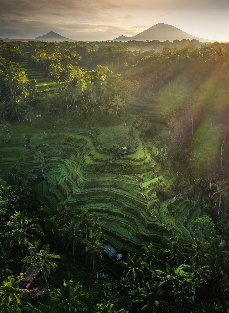 'Rice Paradise'. Bali, Indonesia