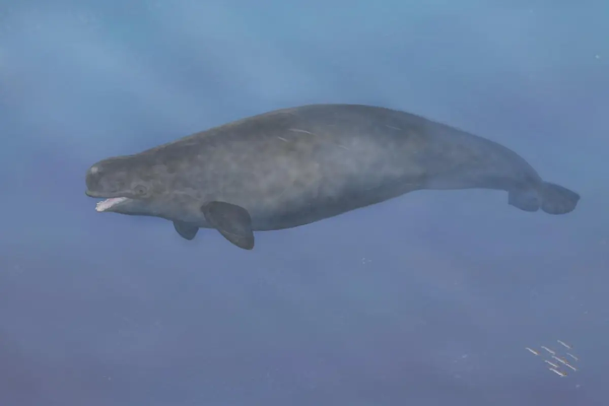 A depiction of what the hybrid may have looked like in life