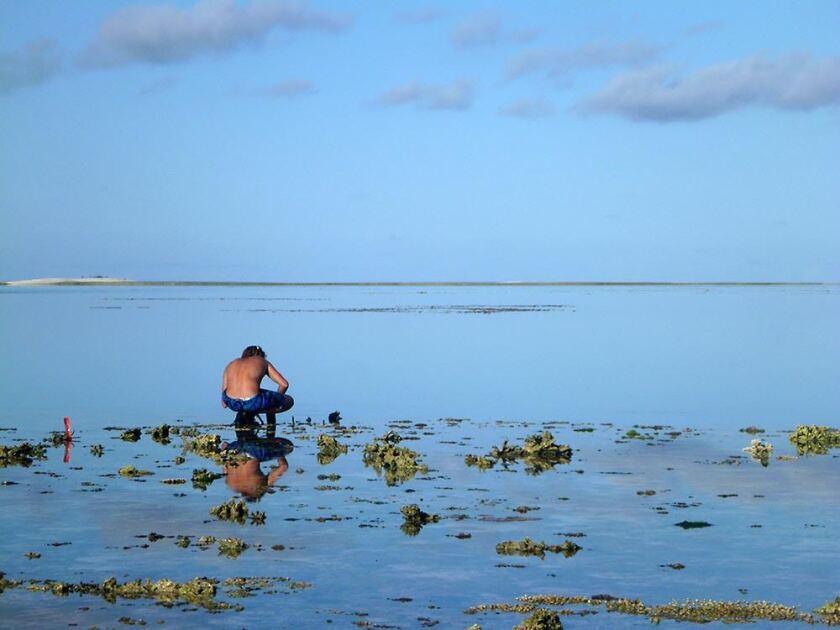 Kennedy Wolfe collecting water samples on the experimental reef flat