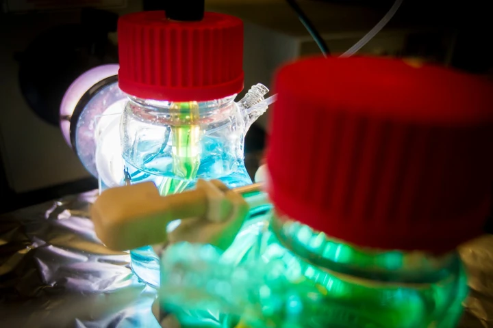 Researchers have, for the first time, found a way to store electrons generated by photoelectrochemical (PEC) cells for long periods of time