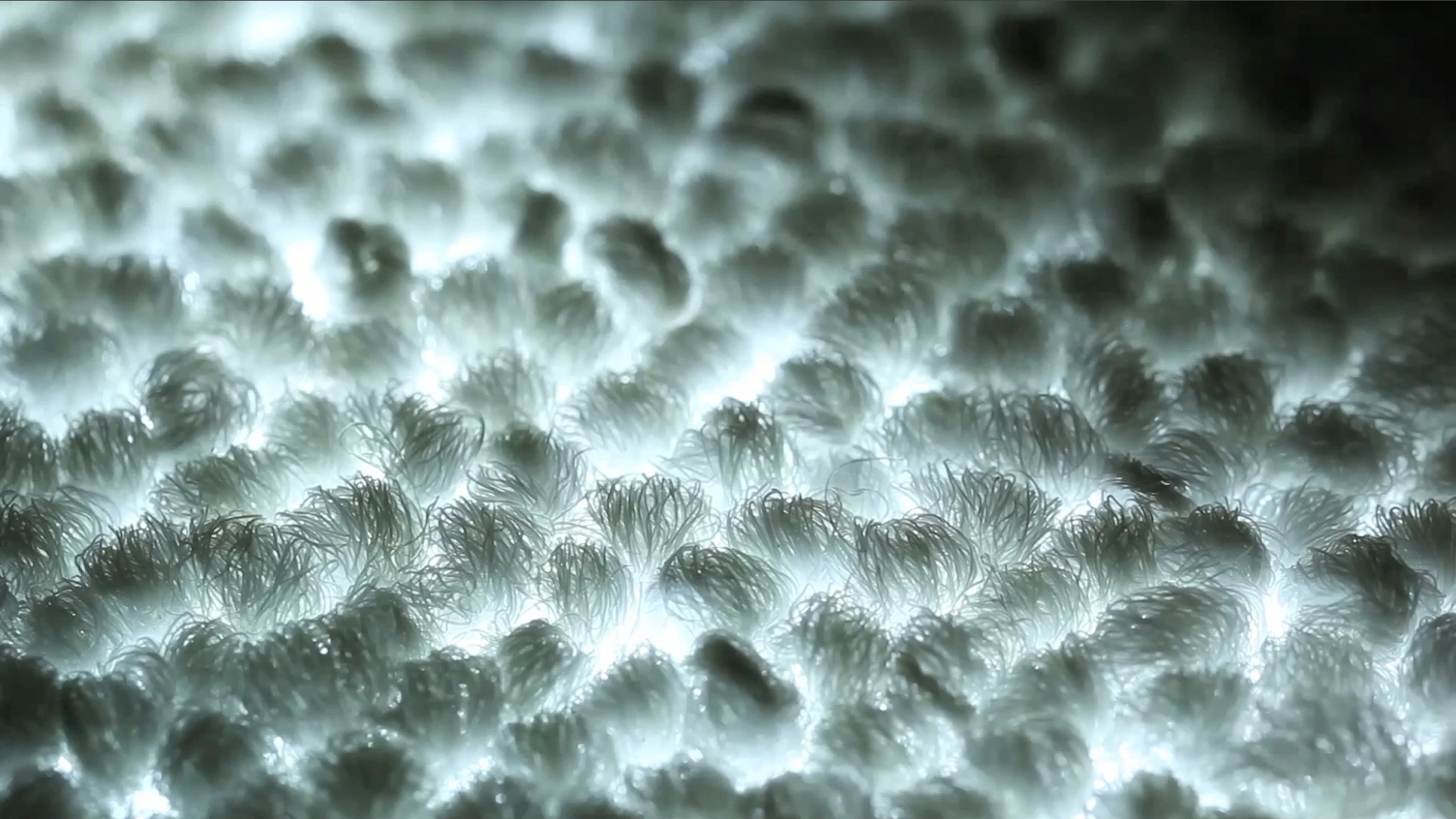 When it's not displaying a message, the light transmissive carpet could also glow softly to give the room a distinctive tone or ambiance