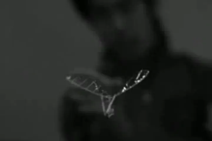 A still from the just-released video of the ornithopter in action