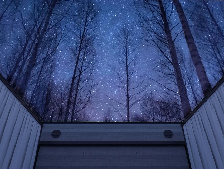 The glass roof offers an exciting connection to nature