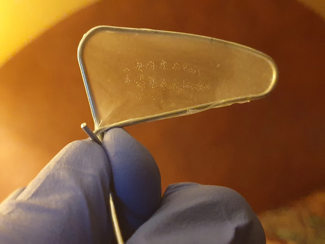 Collecting the venom involves gently pressing on the asp's bristles