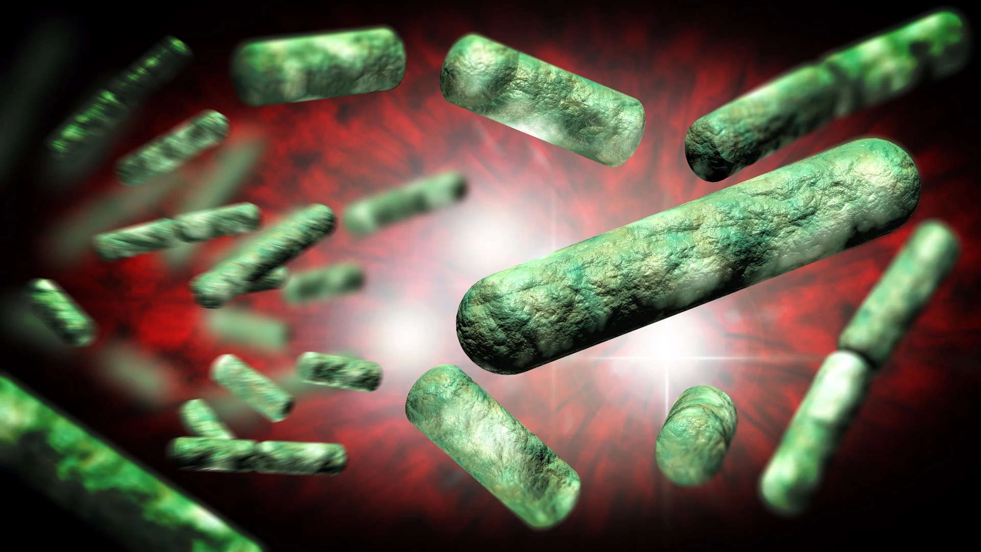 The experiment has observed more than 67,000 generations of bacteria, equivalent to one million years of human evolution