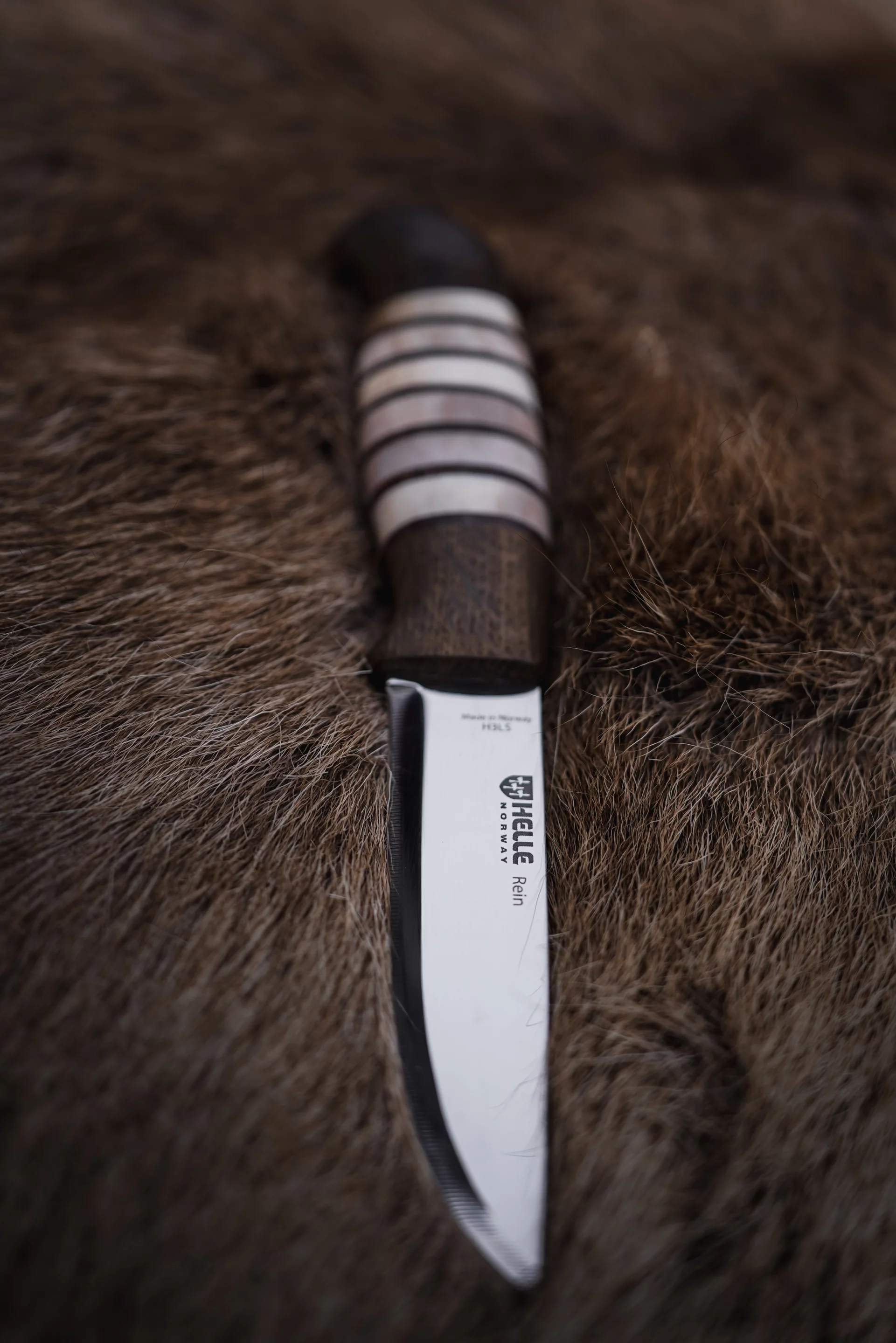 The Rein launched this month for $179