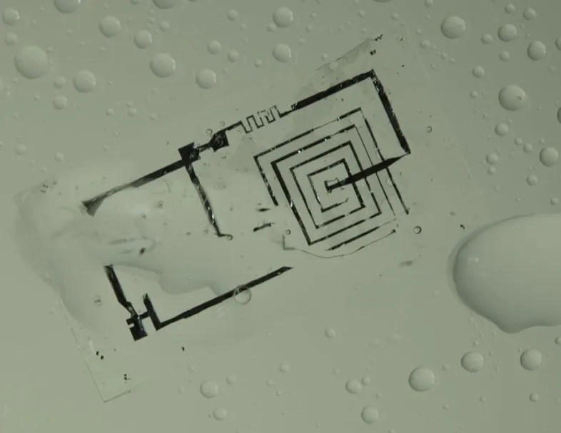 A biodegradable integrated circuit during dissolution in water (Photo: Beckman Institute, University of Illinois and Tufts University)