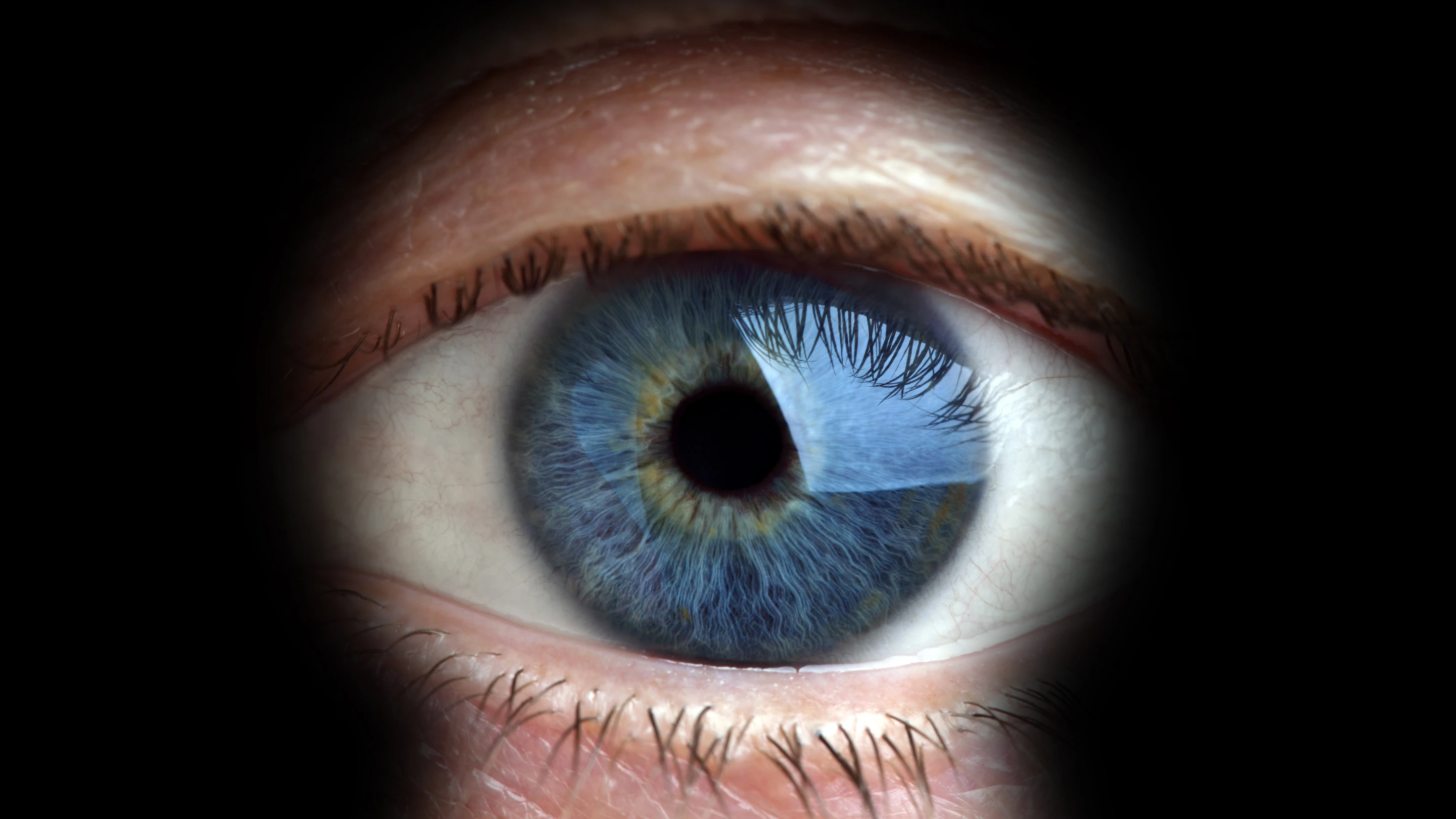 In a series of bombshell leaks, the extent of the US government's alleged spying on Americans has been revealed (image: Shutterstock)