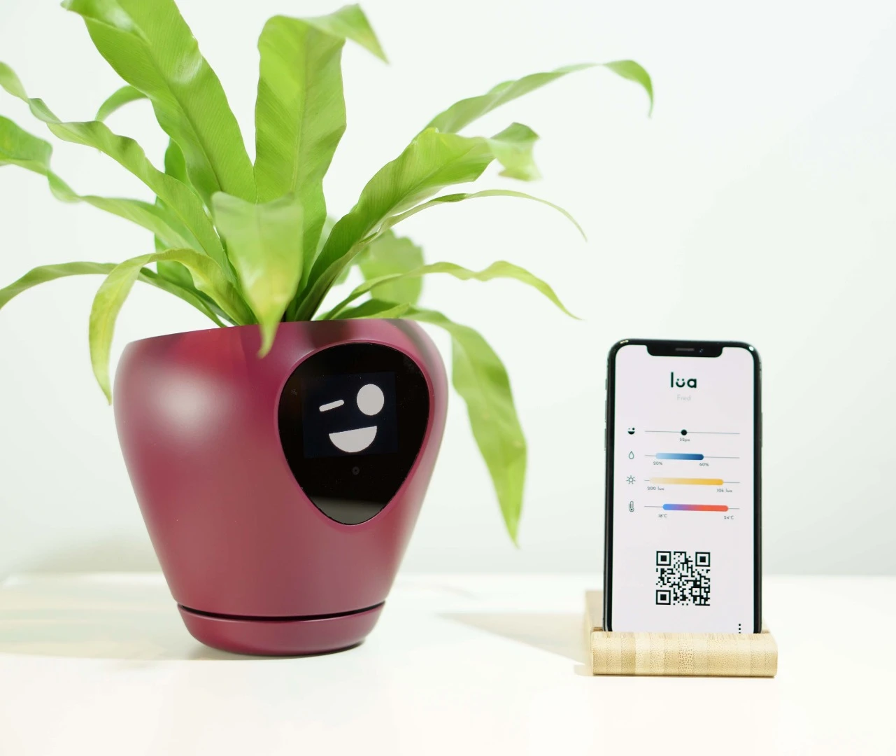 Lua is setup and can be monitored through a smartphone app