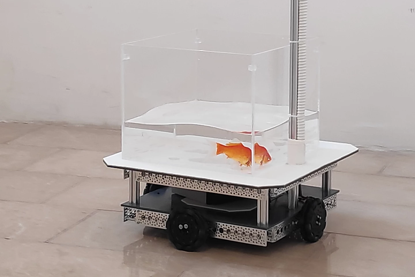 An onboard LiDAR sensor was used to track the FOV's location within the enclosure