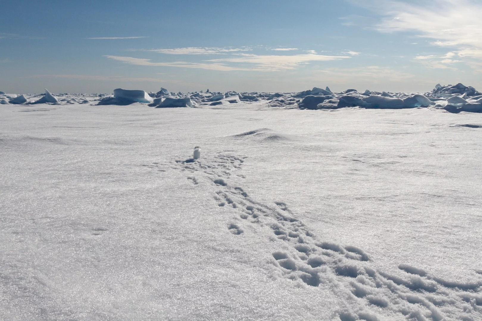 Snowy, with a good chance of microplastics