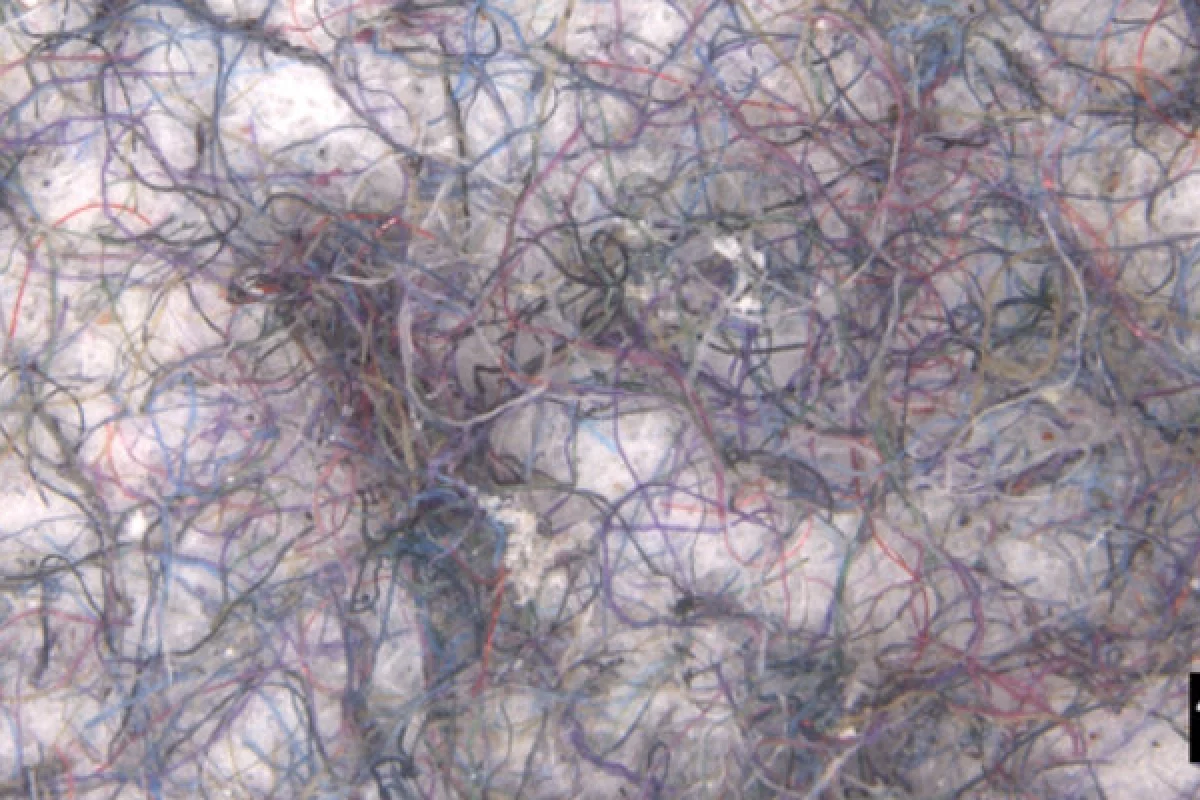 Microfibers filtered from the test washing loads