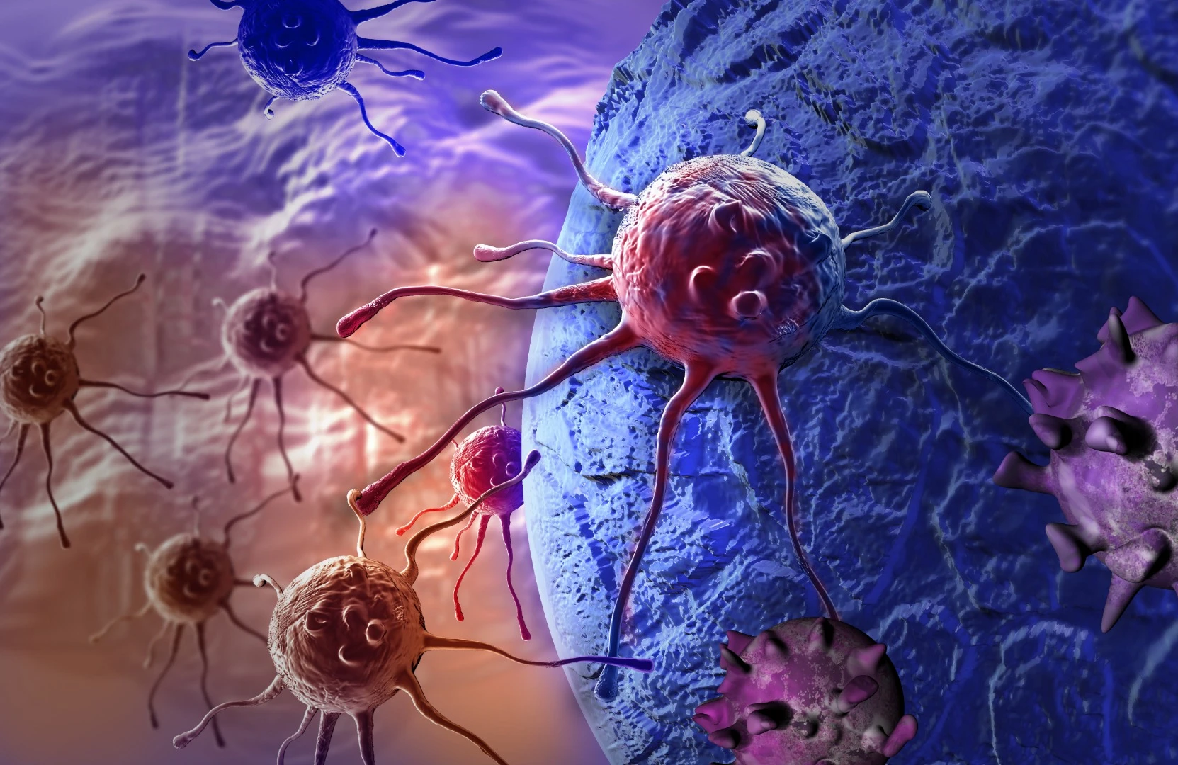 Scientists have come up with a new way to enhance the body's immune system in its fight against cancer