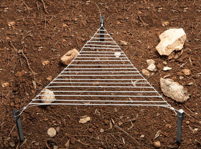 A grill net is suspended between three stakes