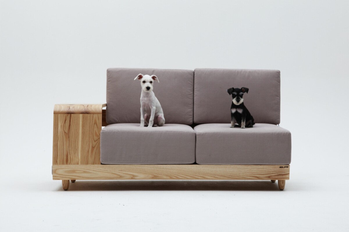 Dog House Sofa provides cozy living for man and his best friend