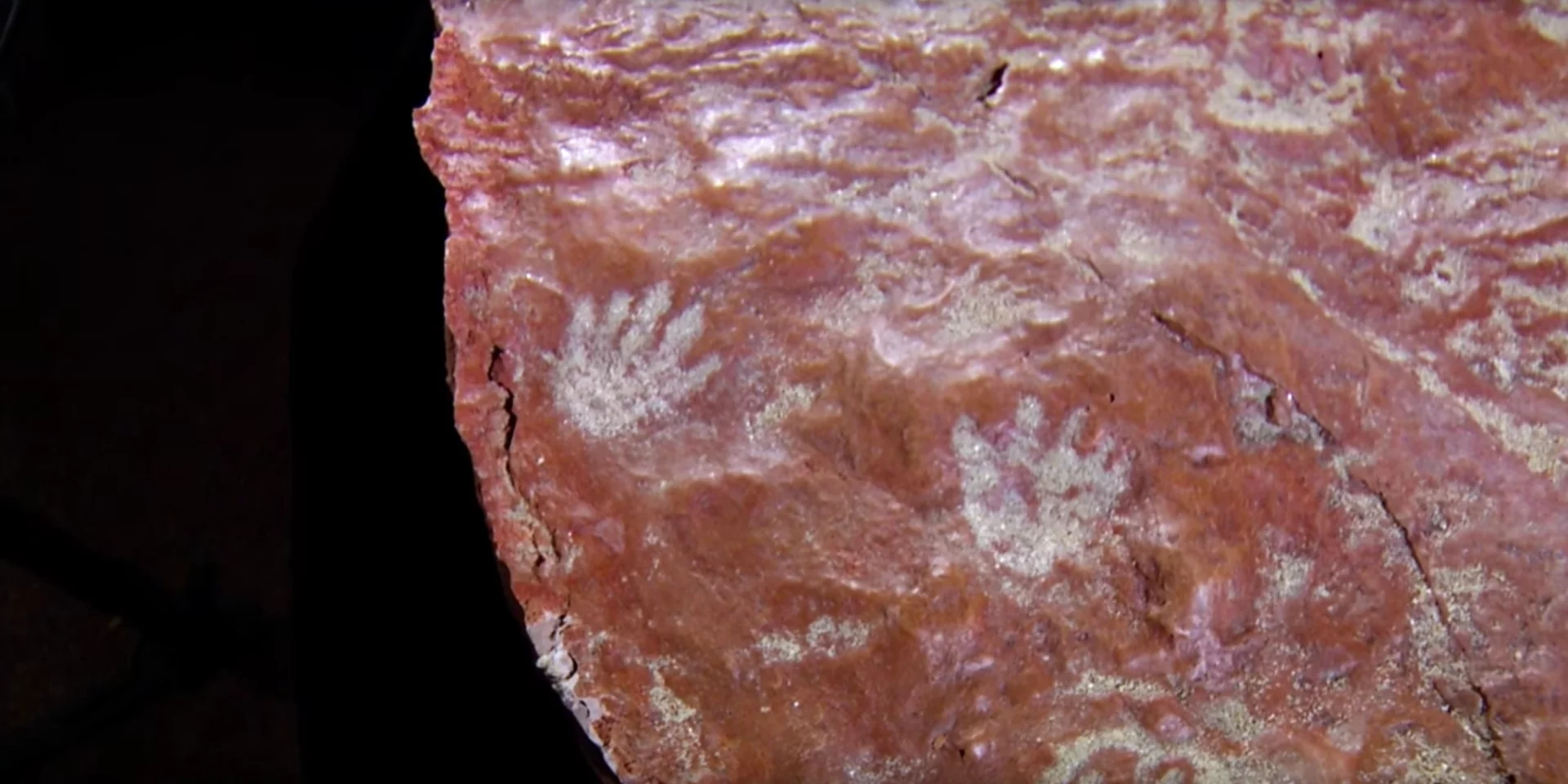 A sandstone slab found on the grounds of NASA's Goddard Space Flight Center contains fossilized footprints from both dinosaurs and mammals from about 100 million years ago