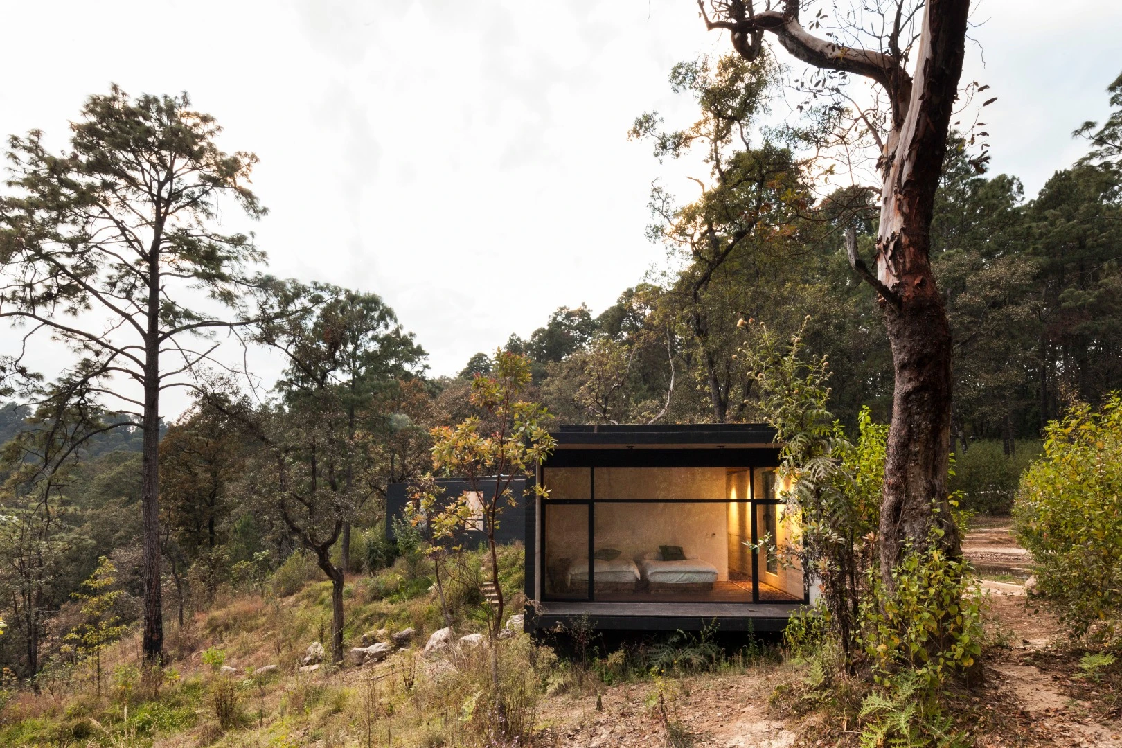 Each end of the Y-shaped Casa de la Roca has a room with a floor-to-ceiling window