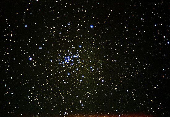 M44, the Beehive open cluster in Cygnus (Photo: Paul Ryan)