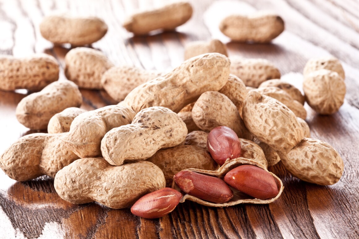 Medical scientists at Stanford University have set out to explore the potential of a drug called etokimab in treating peanut allergies
