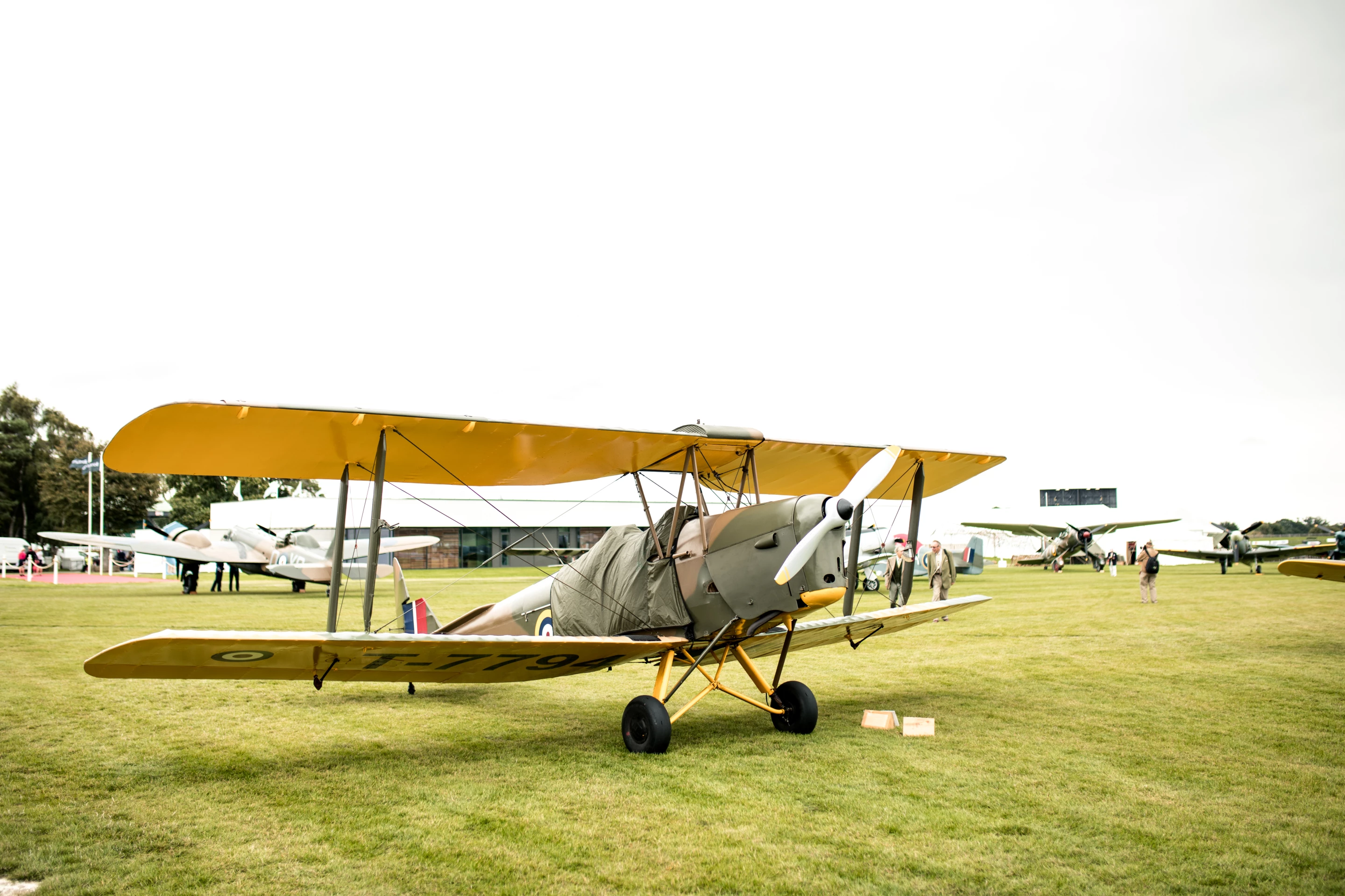 There's also a strong aviation theme to the three-day festival, with a tribute to the British Royal Air Force (RAF) which is celebrating its centenary year.