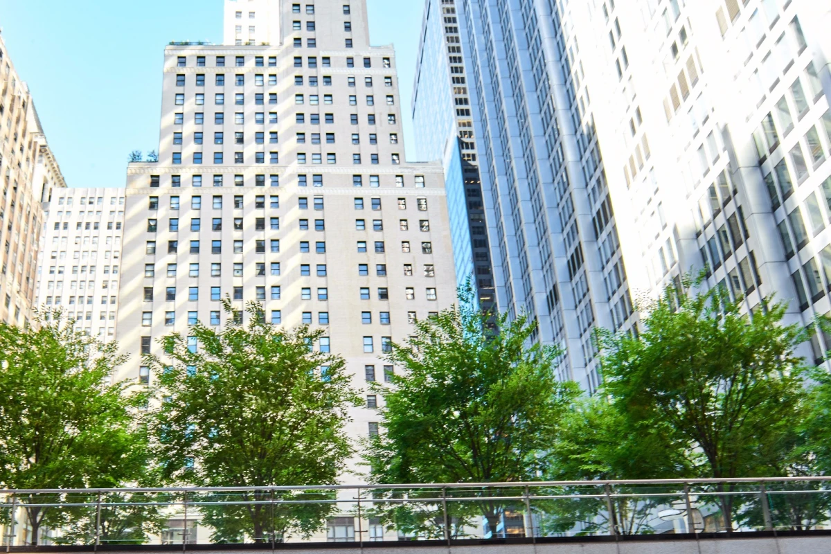 It may seem counterintuitive but a recent study has shown that, especially during heat waves, trees in a city can increase the rates of ozone formation