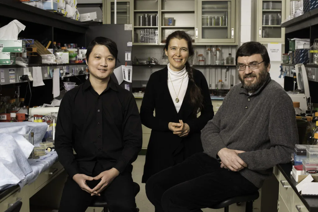 The Rochester researchers who worked on the project, from let: Yang Zhao, Vera Gorbunova and Andrei Seluanov