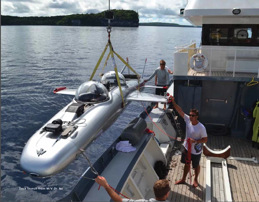 Venture Capitalist Tom Perkins (one of the founders of venture capital firm Kleiner Perkins Caufield & Byers) was the first owner of a DeepFlight Super Falcon.