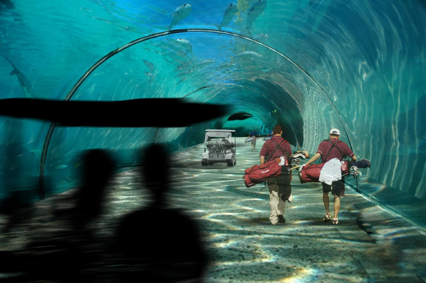 Maldive's revolutionary underwater tunnels (image: Dutch Docklands)