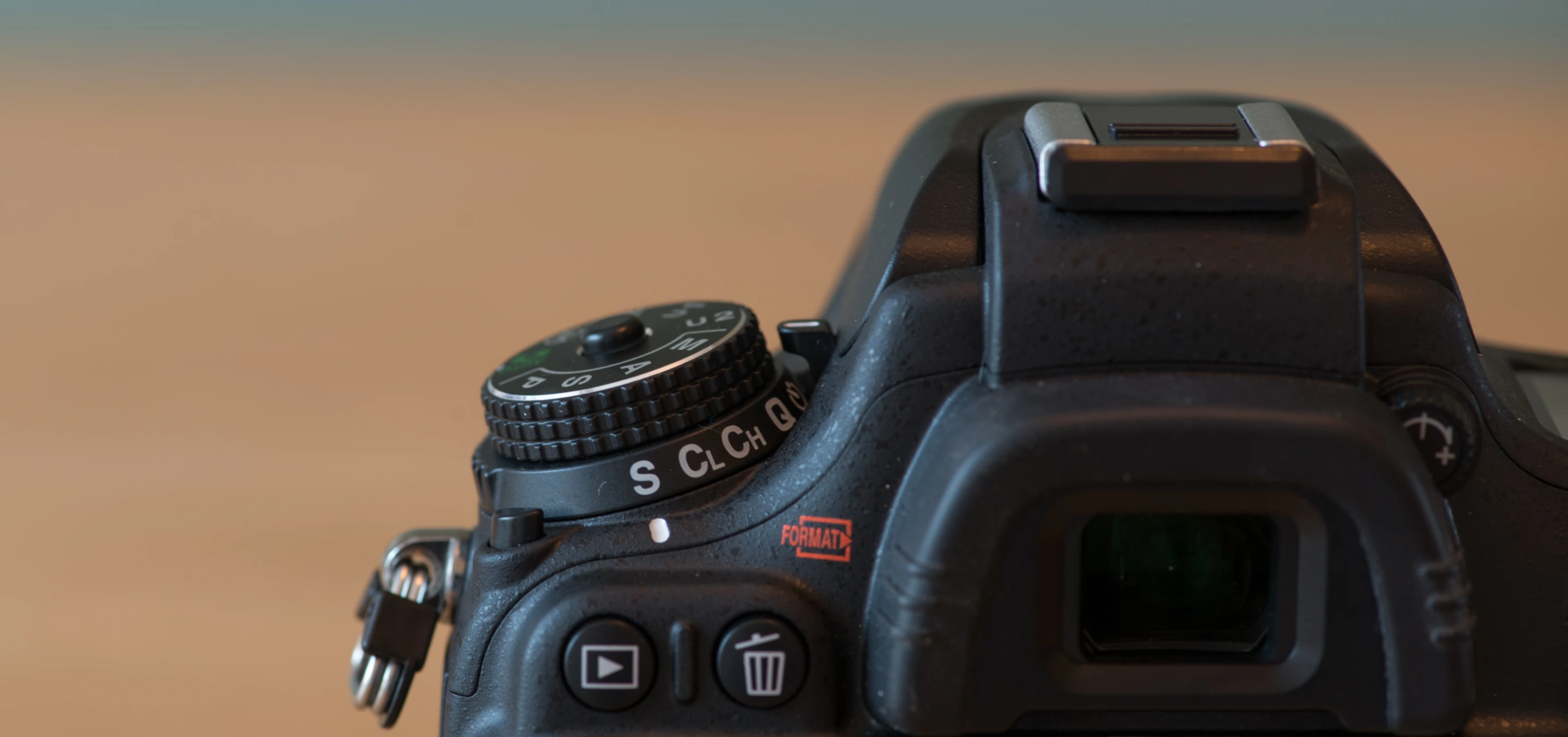The Nikon D600 could make a good back-up camera for pros, or give most enthusiasts all the options they'll need