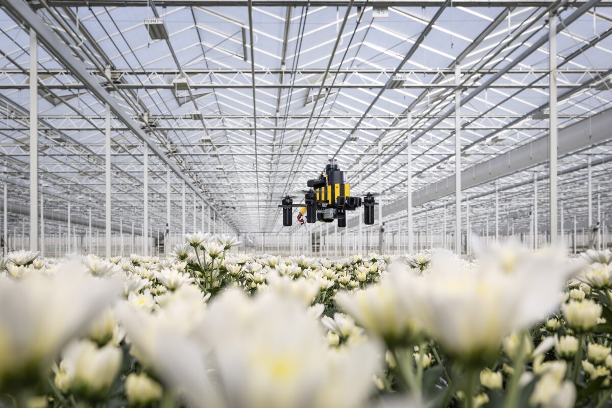 Honeybees inspire a super-efficient navigation system for drones