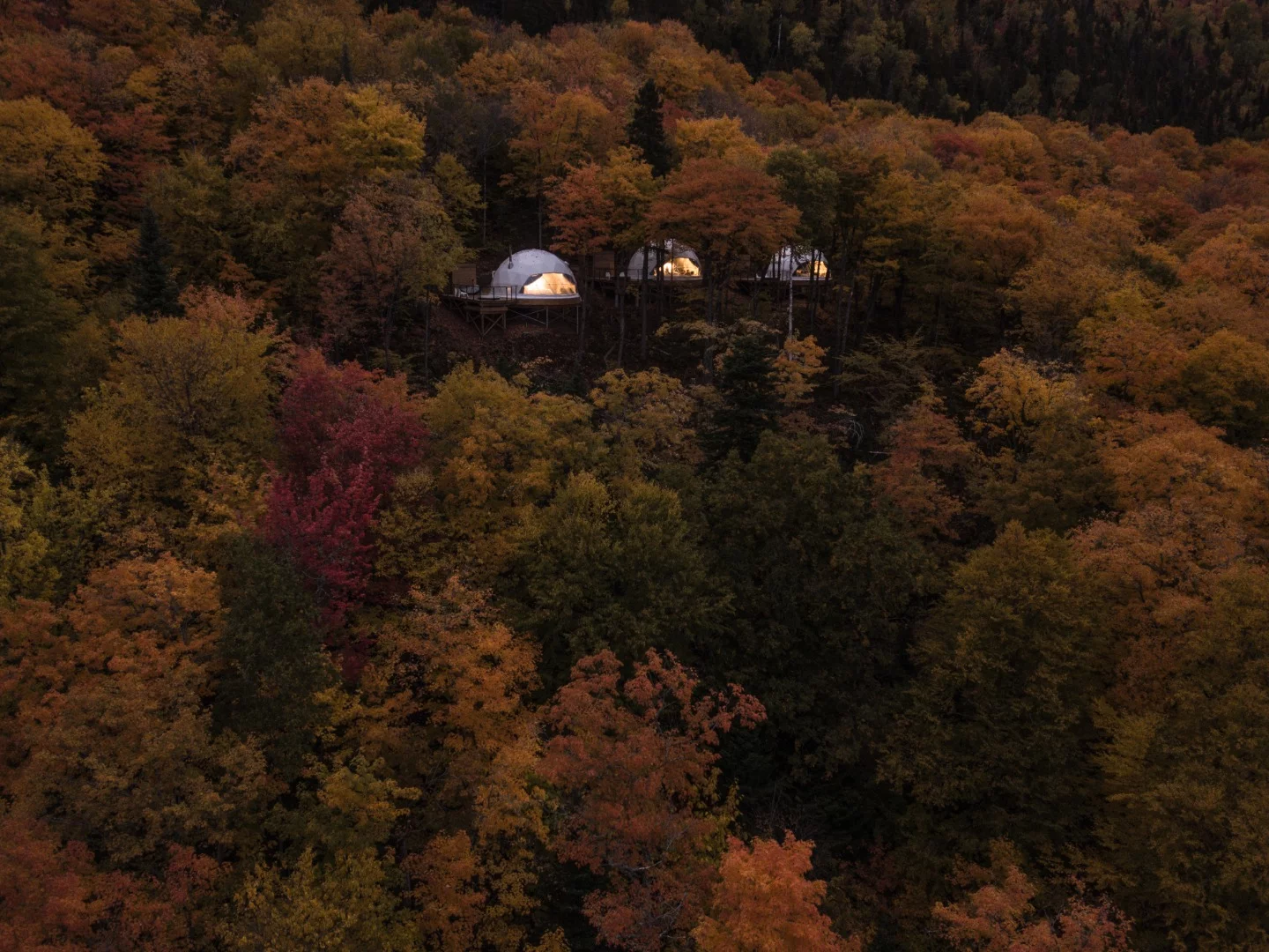 Each geodesic domes has been built and positioned to seamlessly integrate with the natural landscape
