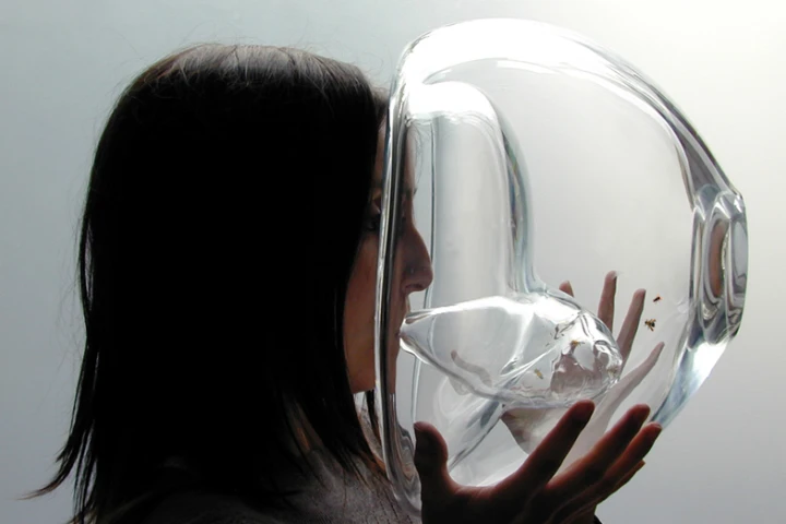 Portuguese designer Susana Soares has created a series of glass diagnostic tools which incorporate trained honey bees to detect if a patient has cancer