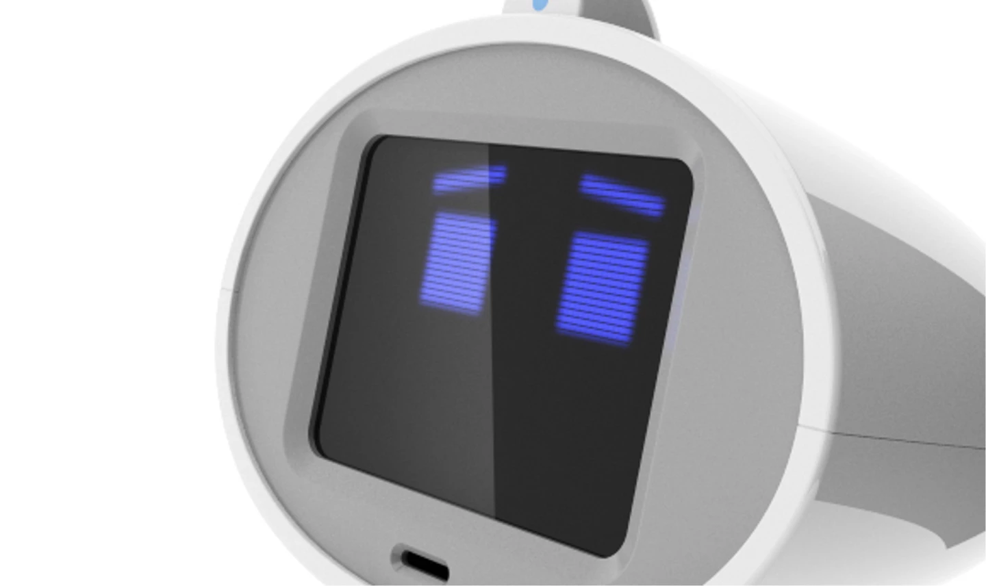 Luna has an 8-in touch screen LCD display (Image: Robodynamics/Schultzeworks)