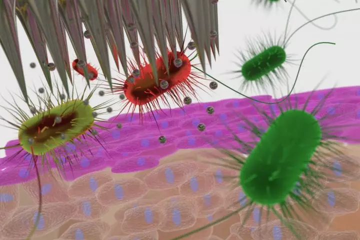 An illustration depicts the microneedle patch in microbe-killing action