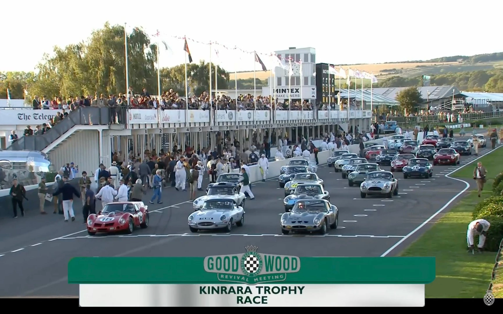 The Kinrara Trophy race at Goodwood Revival included a Ferrari 250 GTO, an even rarer Ferrari 330 GTO, nine Ferrari 250 GT SWBs, four Aston Martin DB4 GTs, a pair of Austin Healey 3000s, two AC Cobras, and eight Jaguar E-types.