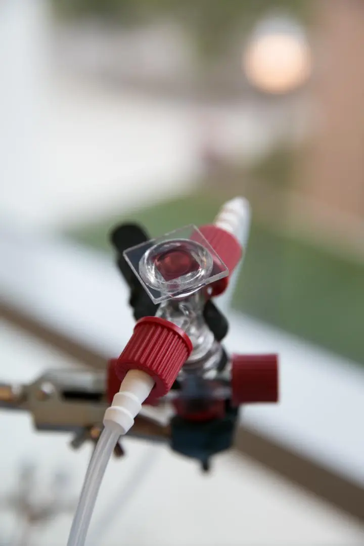Researchers use a red dye called ruthenium to tune the wavelength of the light it captures